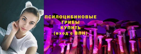 МДПВ Гусь-Хрустальный