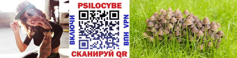 Псилоцибиновые грибы Psilocybine cubensis Купить закладки Нижний Новгород